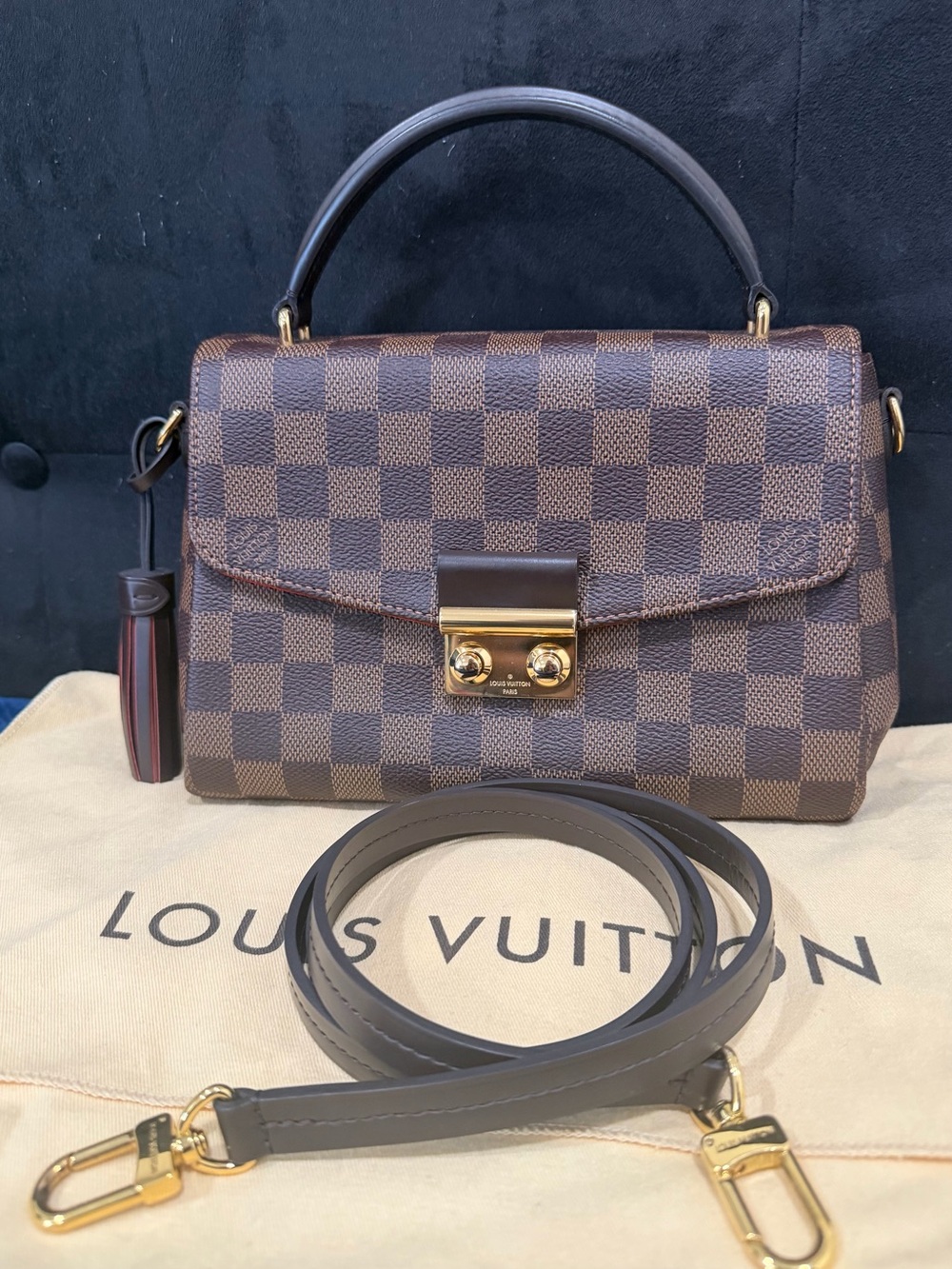 Louis Vuitton Damier Ebene Croisette